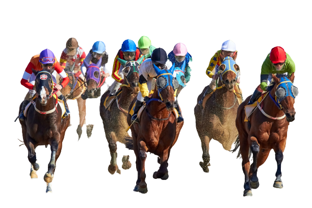mathew schwartz 5qRWQEdK7Sg unsplash 1 removebg preview